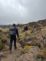 Nina2412hauge_20251014_68ee2274f3cd5.jpg