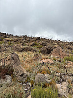 Nina2412hauge_20251014_68ee2276b49a3.jpg