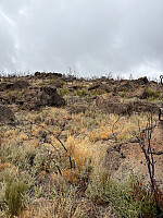 Nina2412hauge_20251014_68ee227b956b8.jpg