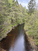 Nina2412hauge_20260514_6a05b83e96d84.jpg