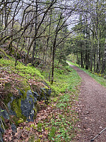 Nina2412hauge_20260514_6a05b83f368f9.jpg