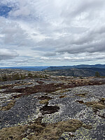 Nina2412hauge_20260524_6a12fe7f83c76.jpg