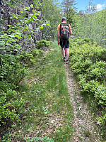 Nina2412hauge_20260525_6a1474dc17752.jpg