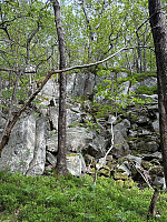 Nina2412hauge_20260525_6a1474dc1e250.jpg