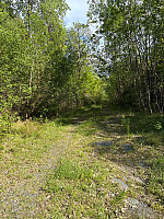Nina2412hauge_20260525_6a1474dc2f9c7.jpg