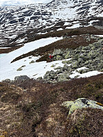 Nina2412hauge_20260530_6a1b3f5363179.jpg