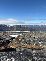 Nina2412hauge_20260530_6a1b3f541acc5.jpg