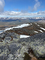 Nina2412hauge_20260530_6a1b3f545ba34.jpg