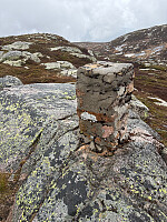 Nina2412hauge_20260531_6a1c599cb0227.jpg