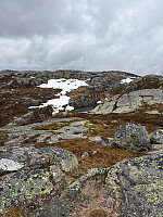 Nina2412hauge_20260531_6a1c599d31d7c.jpg