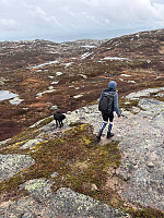 Nina2412hauge_20260531_6a1c599d4de5f.jpg