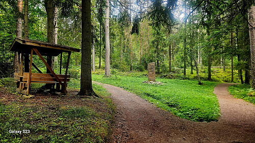 Hamborgstrømskogen