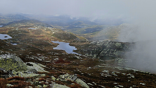 Vakker natur