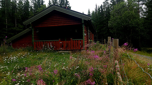 Blomstereng ved setra