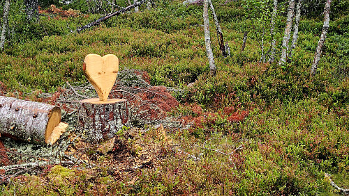 Hyggelig velkomst :)