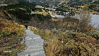 Tom3041_20250922_68d0f645aa4c5.jpg