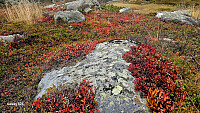 Tom3041_20250922_68d0f64a7074b.jpg
