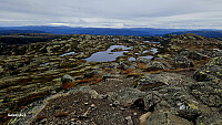 Tom3041_20250922_68d0f656acd84.jpg