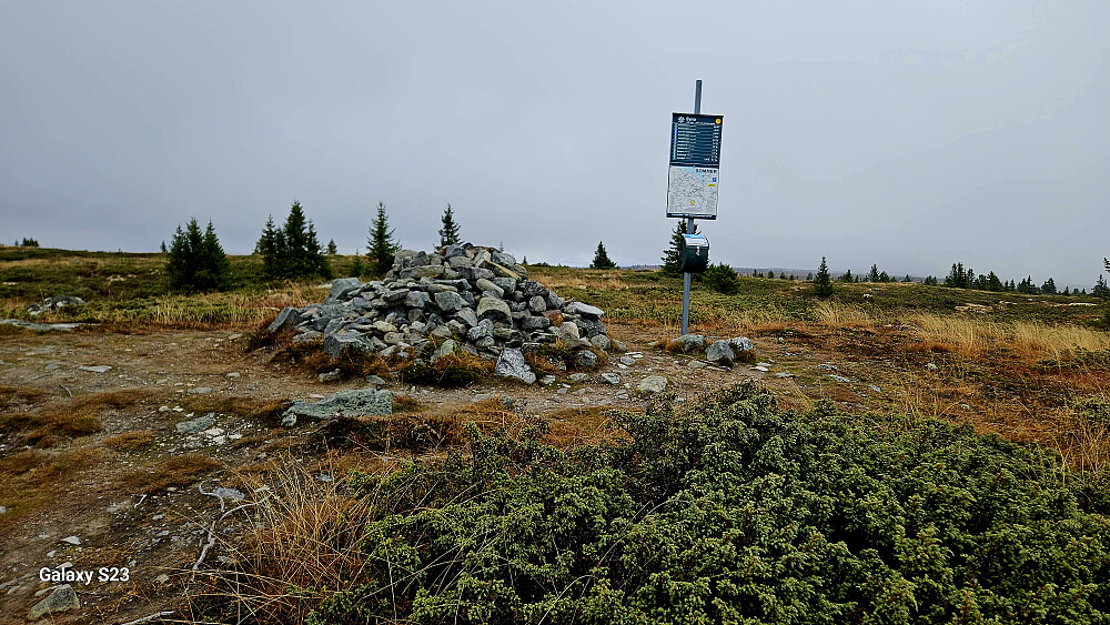 Syno 1067 moh