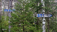 Tom3041_20251012_68ebe64f2e8e1.jpg