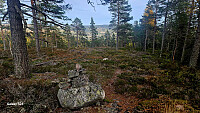 Tom3041_20251012_68ebe653dc173.jpg