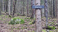 Tom3041_20251012_68ebe65c026e4.jpg