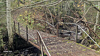Tom3041_20251012_68ebe65d829f9.jpg