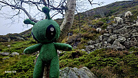 Tom3041_20251012_68ebe760835b8.jpg