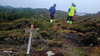 Tom3041_20251012_68ebe7620caf6.jpg