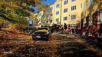 Tom3041_20251019_68f516edb3c58.jpg