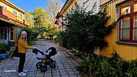 Tom3041_20251019_68f517ee92d3a.jpg
