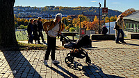 Tom3041_20251019_68f517fa1dfc2.jpg