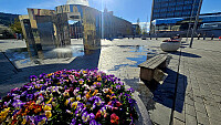 Tom3041_20260506_69fb996a15f83.jpg