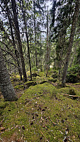 Tom3041_20260506_69fb9ae5b6451.jpg