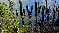 Tom3041_20260511_6a01bee926983.jpg