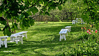 Tom3041_20260511_6a01bee97bb61.jpg