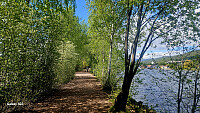 Tom3041_20260511_6a01beea26714.jpg
