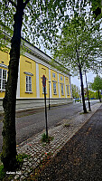 Tom3041_20260515_6a07055a23d6a.jpg