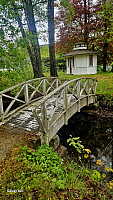 Tom3041_20260515_6a07060200fef.jpg