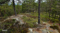 Tom3041_20260519_6a0c0ef9f1b18.jpg