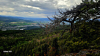 Tom3041_20260519_6a0c0efad431b.jpg