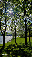 Tom3041_20260519_6a0c1028abd17.jpg