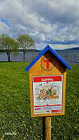 Tom3041_20260519_6a0c1028e91f6.jpg