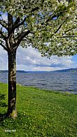 Tom3041_20260519_6a0c10291df36.jpg