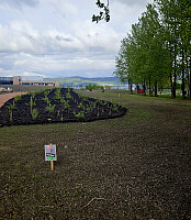 Tom3041_20260519_6a0c1029b41b7.jpg
