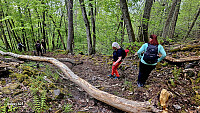 Tom3041_20260520_6a0d56aa7654a.jpg