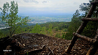 Tom3041_20260524_6a13377a7e9ca.jpg