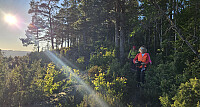 Tom3041_20260527_6a168884f2a74.jpg