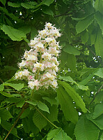 Tom3041_20260527_6a168c9c81944.jpg