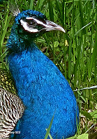 Tom3041_20260527_6a168c9ca3d33.jpg